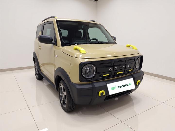 2025 210km Panda photo 3