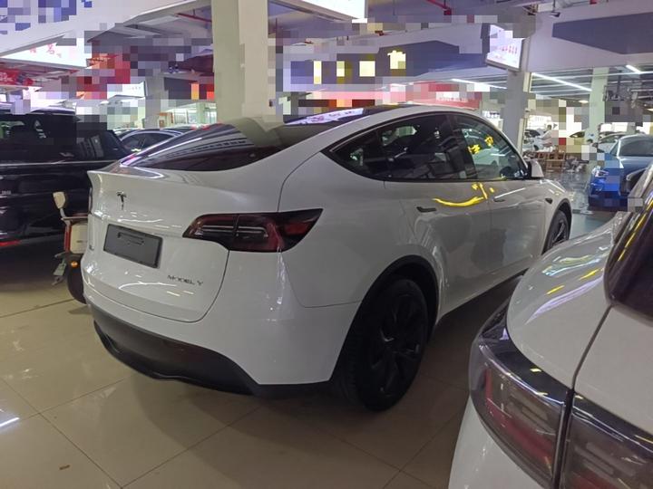 Model Y 2024 RWD photo 6