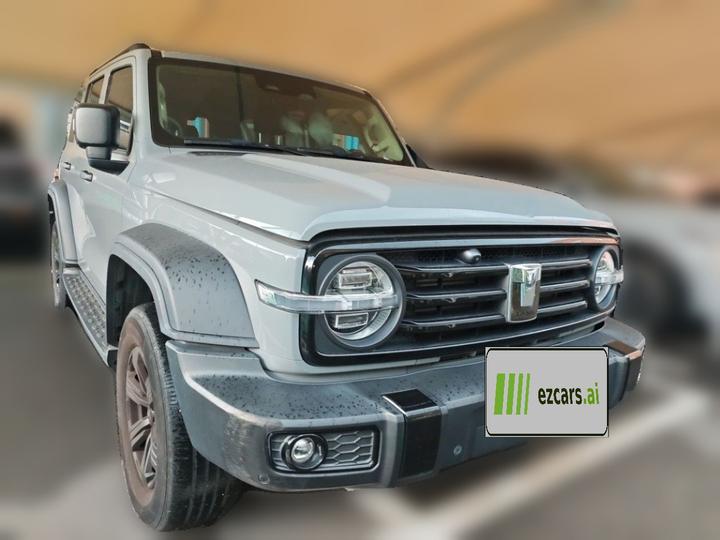 300 2021 Off-road 2.0T Conqueror photo 3