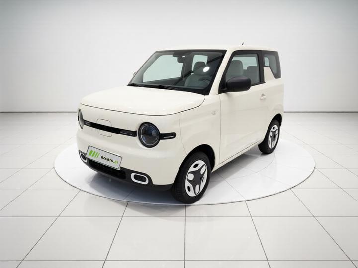 2025 Panda mini 210km Yuan