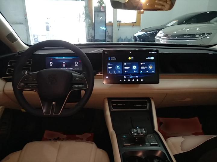 Qin L 2024 DM-i 80KM photo 5