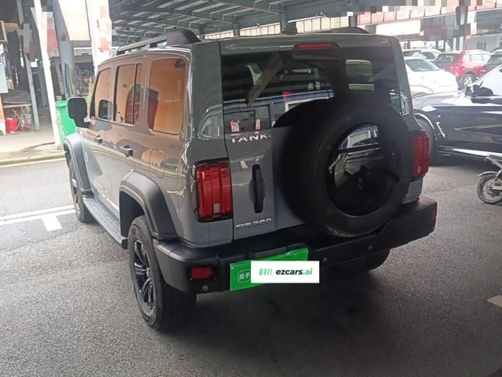 300 2021 Off-road 2.0T Conqueror photo 4