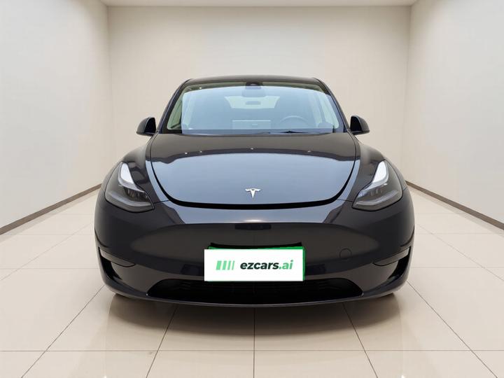 Model Y 2024 RWD photo 2