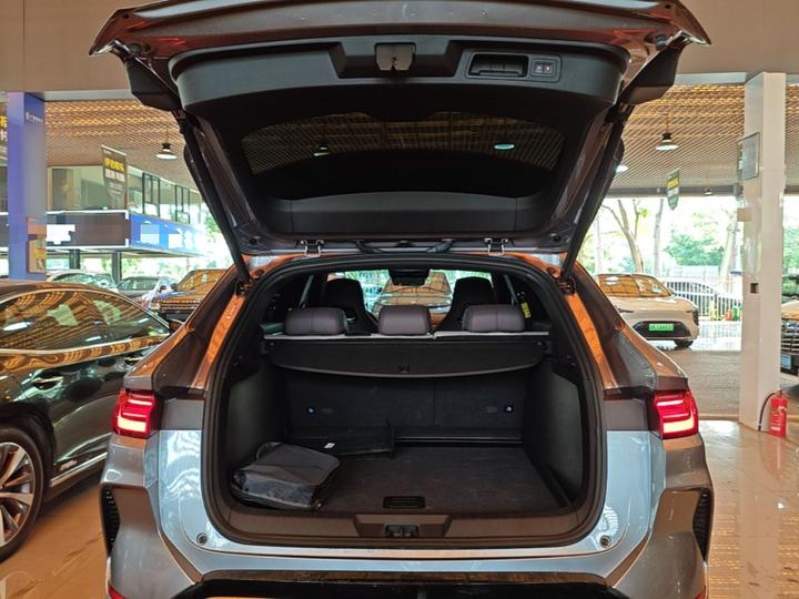 Song PLUS EV 2025 EV 520km Luxury photo 8