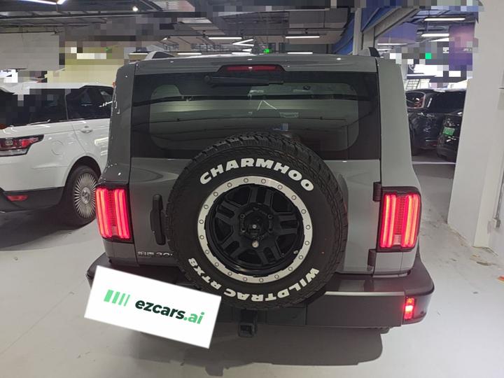 300 2023 Off-road 2.0T Conqueror photo 5