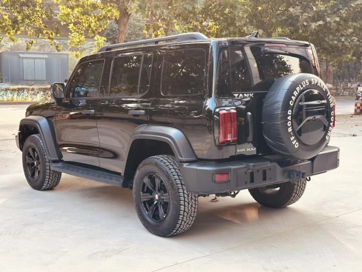 300 2023 Off-road 2.0T photo 4