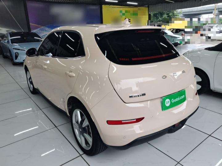Good Cat 2023 401km Standard Range Luxury LFP photo 4