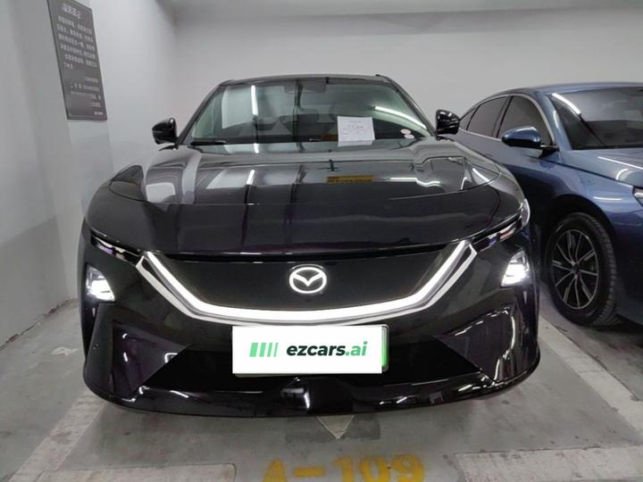 EZ-60 2025 EV 600 Pro photo 2