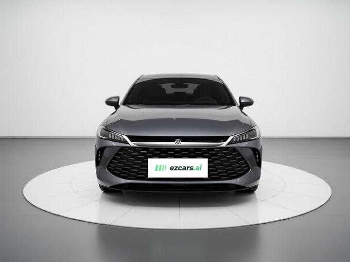 Qin PLUS 2025 DM-i ADAS 55KM Leading photo 2