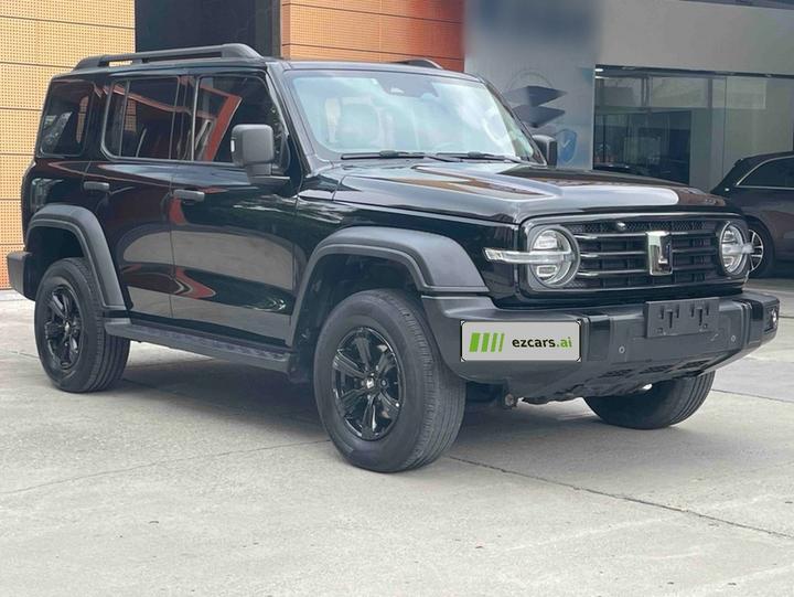 300 2021 Off-road 2.0T Conqueror photo 3