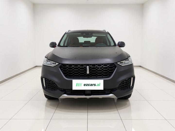 VV6 2018 2.0T RWD Flagship China V photo 2