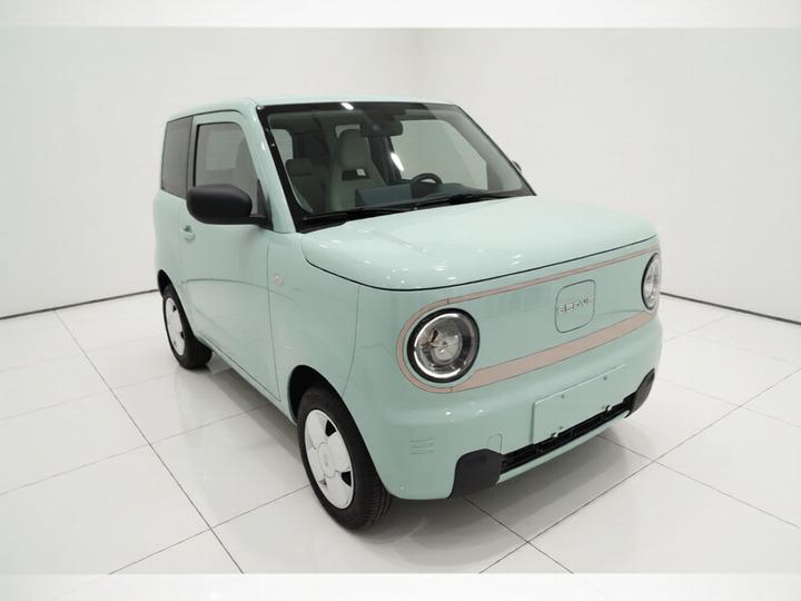 2023 Panda mini 200km Endurance Bear photo 3