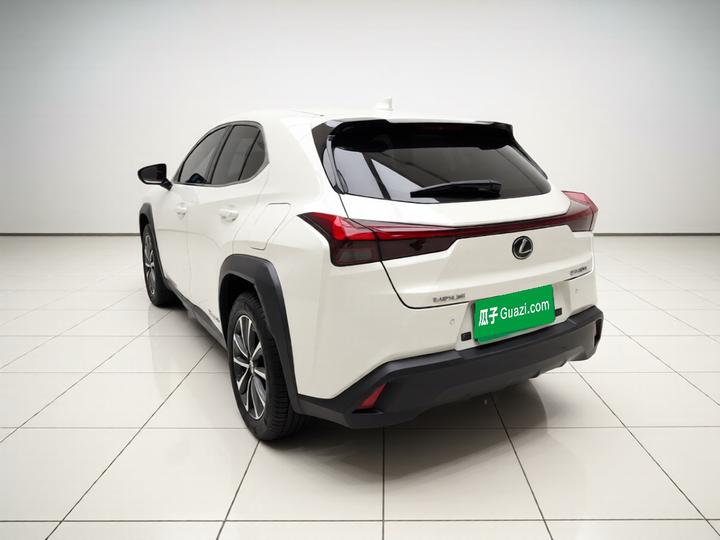 UX EV 2020 300e photo 4