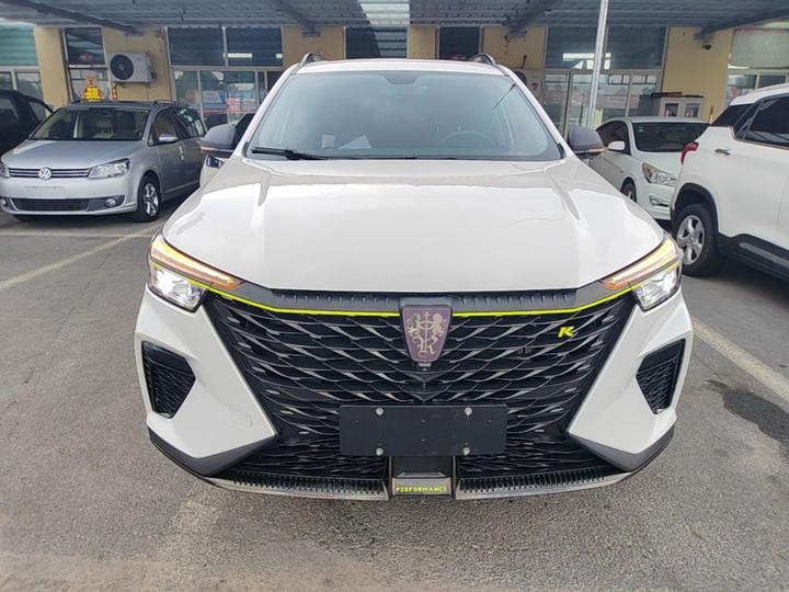 RX5 EV 2021 ePLUS Luxury photo 2