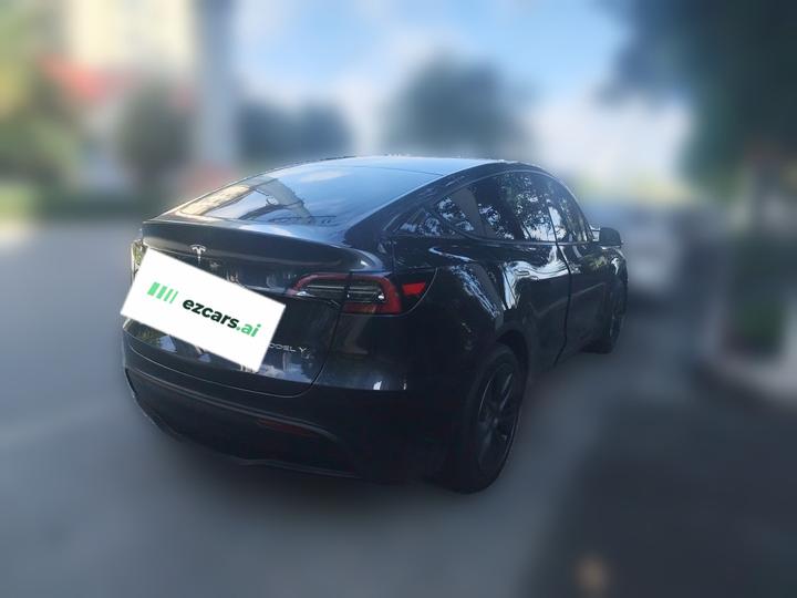 Model Y 2024 RWD photo 6