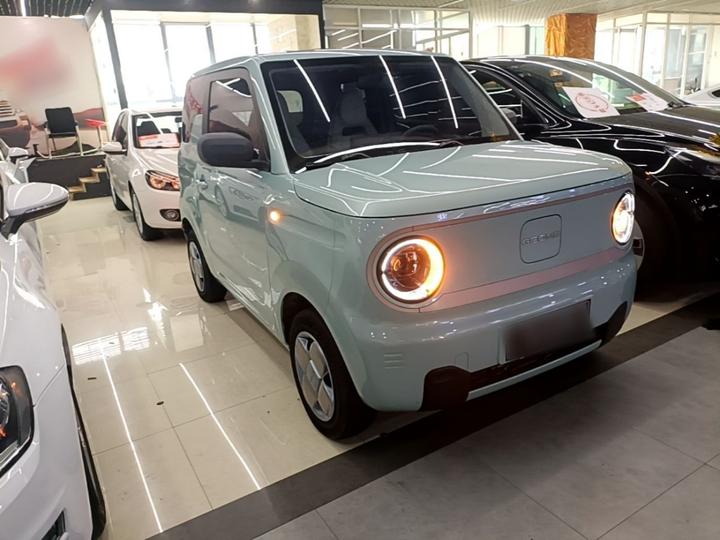 2023 Panda mini 200km Endurance Bear photo 3