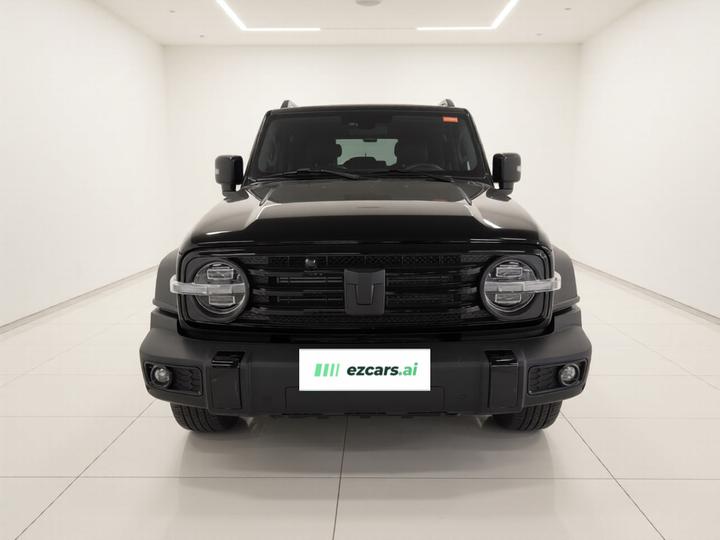 300 2024 2.0T Conqueror photo 2