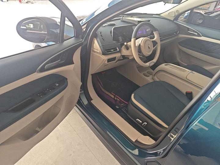 Good Cat 2023 401km Standard Range Luxury NCM photo 3