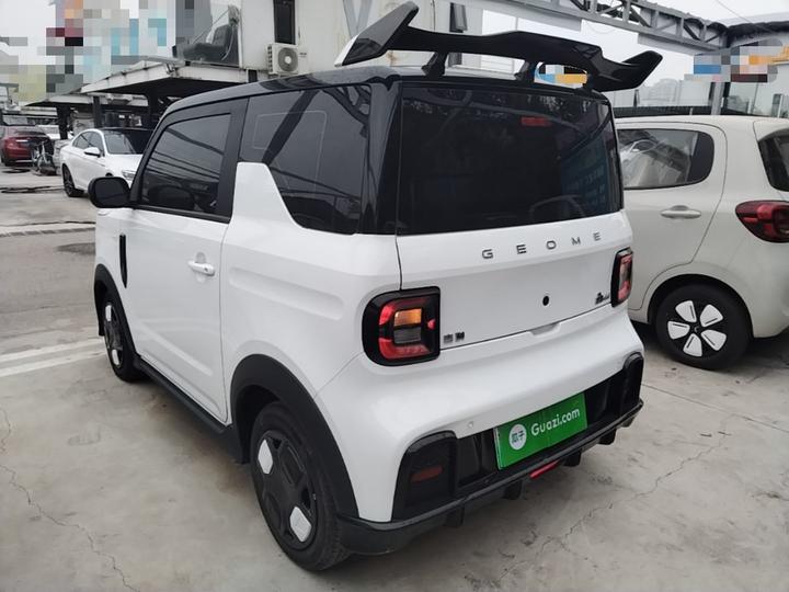 2025 210km Panda photo 4