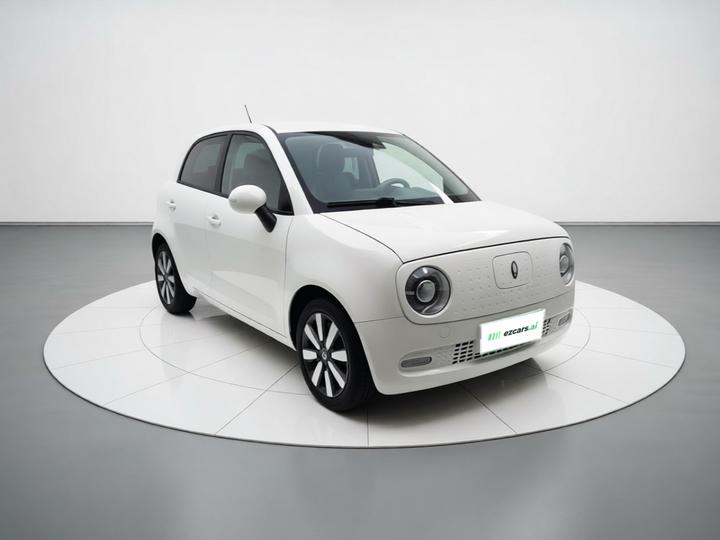 2021 351km Luxury photo 3