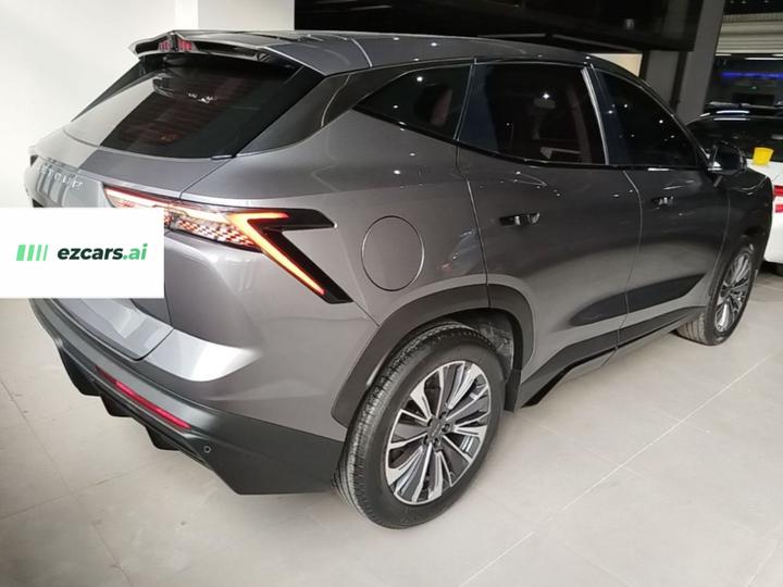 Dasheng 2022 1.6T DCTPLUS photo 6