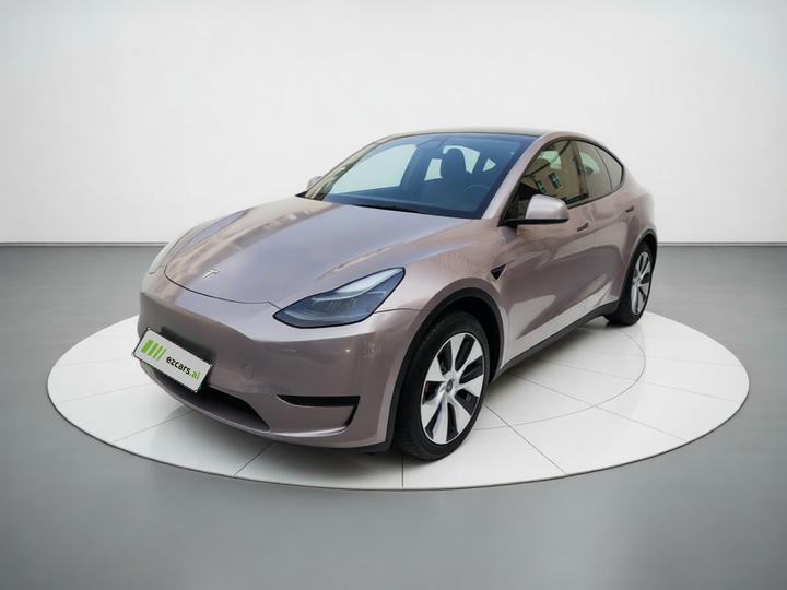 Model Y 2021 Standard Range RWD