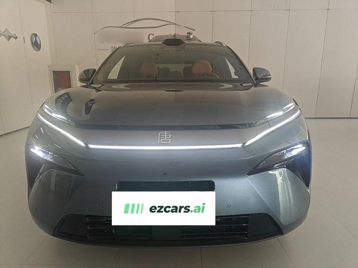 Tang L 2025 DM 175KM photo 2
