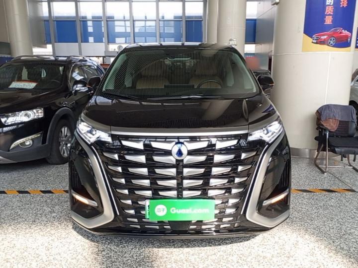D9 2024 DM-i 980 AWD Noble photo 2