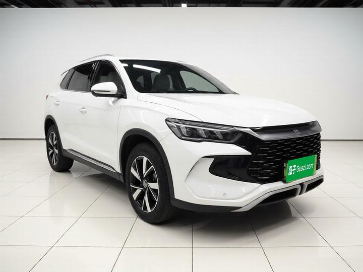 Song Pro EV 2024 Honor DM-i 71KM Pilot photo 3