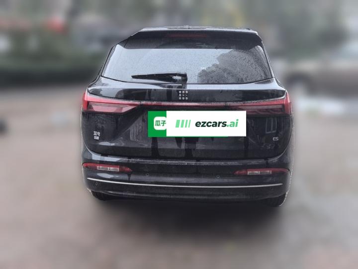 Bluelectric E5 2024 Honor 100KM Exclusive 7-Seater photo 5