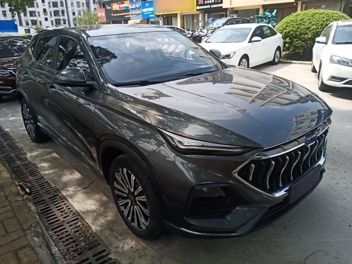 X5 2021 Facelift 1.5T DCT Luxury photo 3