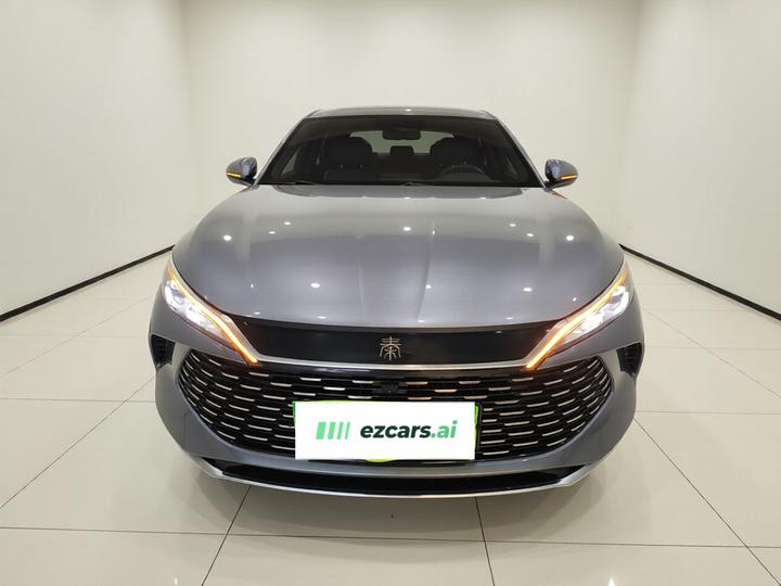 Qin L 2024 DM-i 80KM photo 2