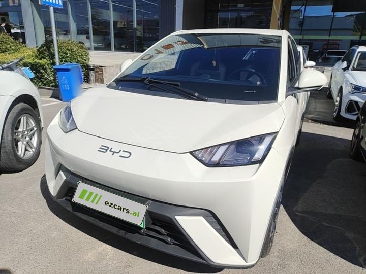 Seagull 2025 305km