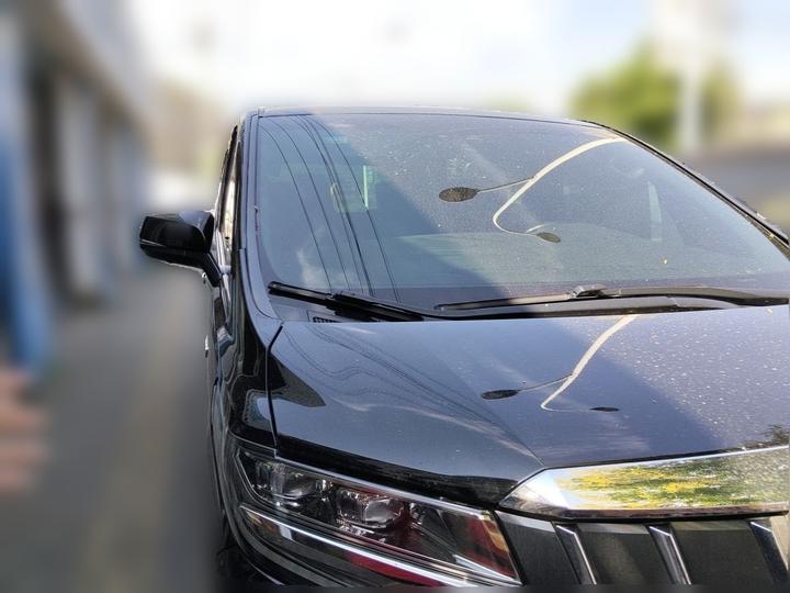 Alphard 2019 Hybrid 2.5L Premium photo 3