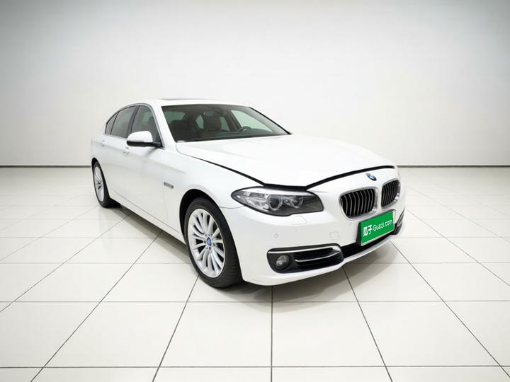 5 Series 2017 525Li Luxury Design Package photo 3