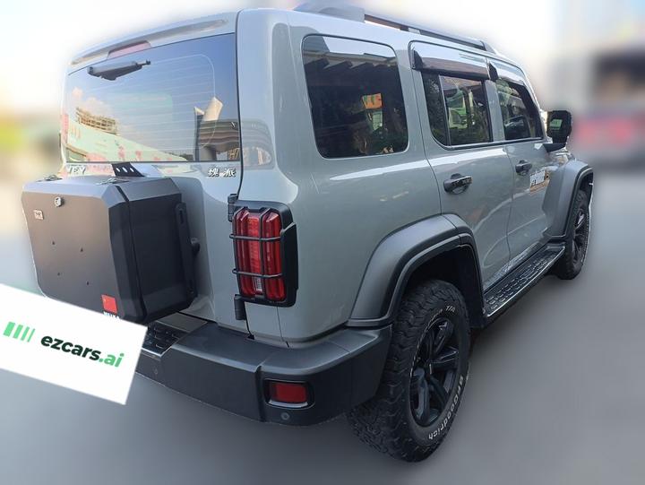 300 2021 Off-road 2.0T photo 6