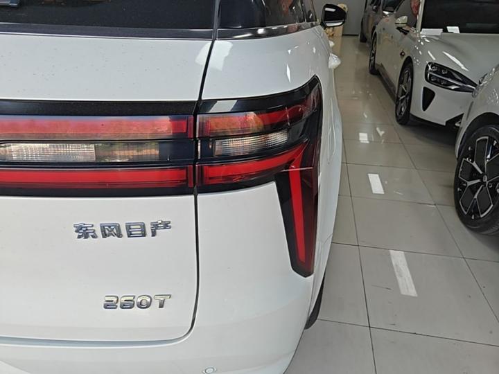 2020 260T AT 48V Mild Hybrid photo 7