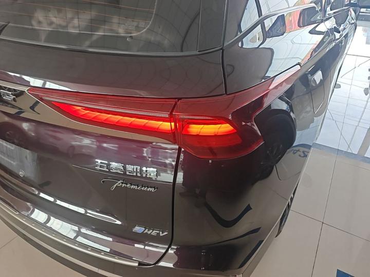 Wuling 2023 2.0L DHT photo 7