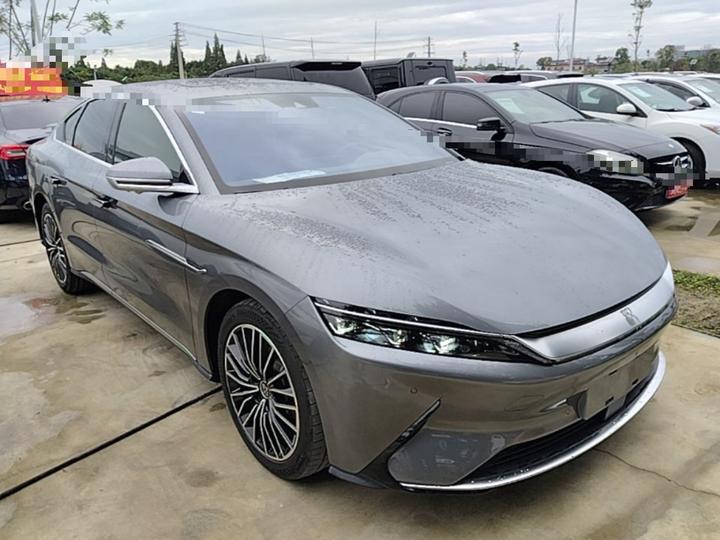Han 2021 EV Standard Range Luxury photo 3