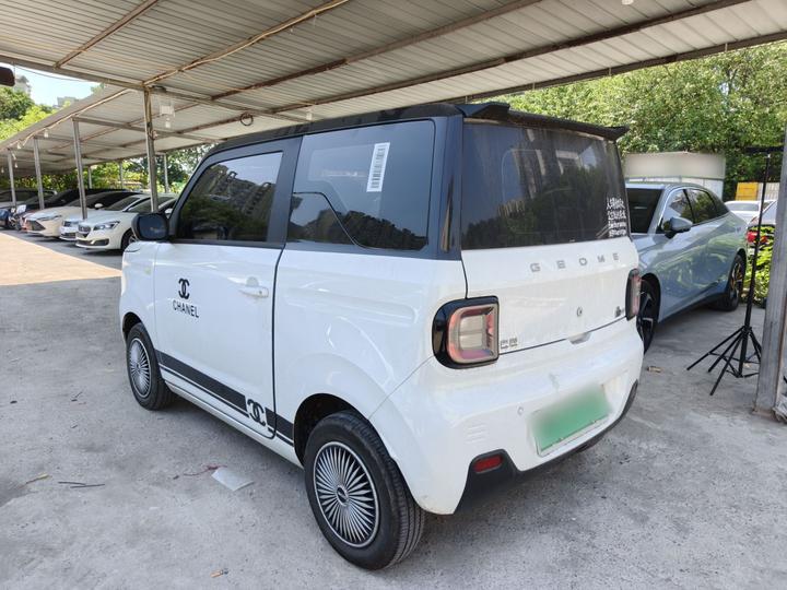 2024 Panda mini 200km Endurance Bear photo 4