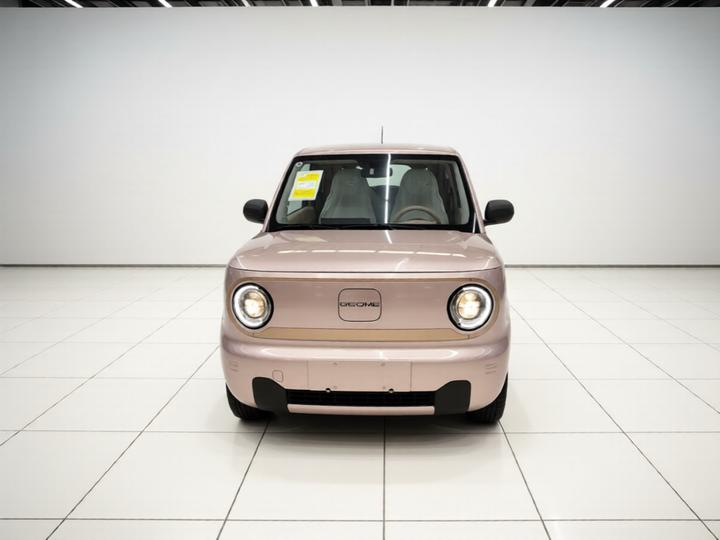 2024 Panda mini 200km Endurance Bear photo 2