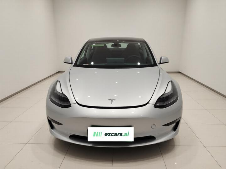 Model 3 2021 Performance AWD photo 2