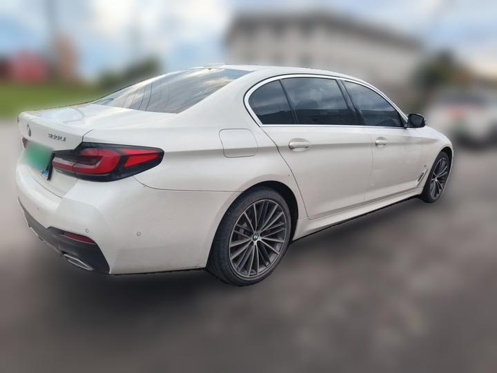 5 Series 2021 530Li Leading M Sport Package photo 6