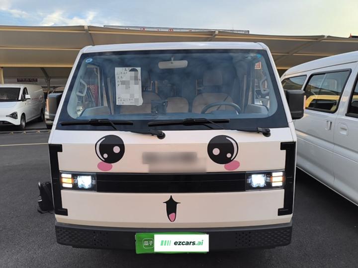 SRM Shineray EV E3 2025 310KM Utility photo 2