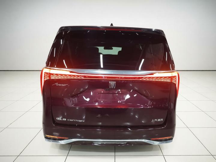 2023 2.0T 7-Seater photo 3