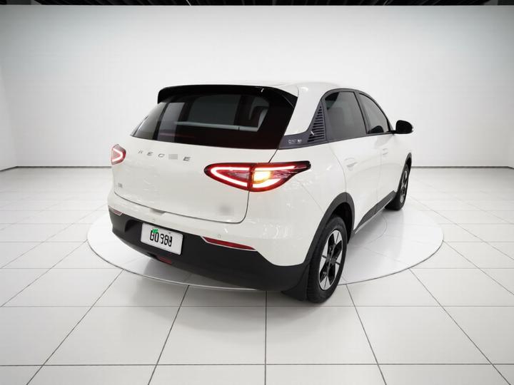 Xingyuan 2025 310km photo 4
