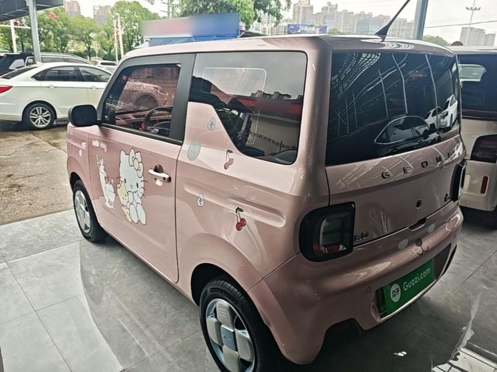 2023 Panda mini 200km Endurance Bear photo 4