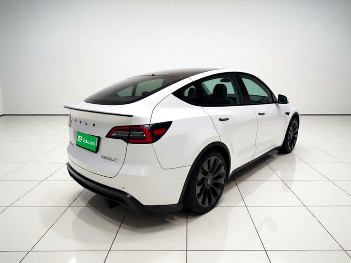 Model Y 2022 Performance AWD photo 6