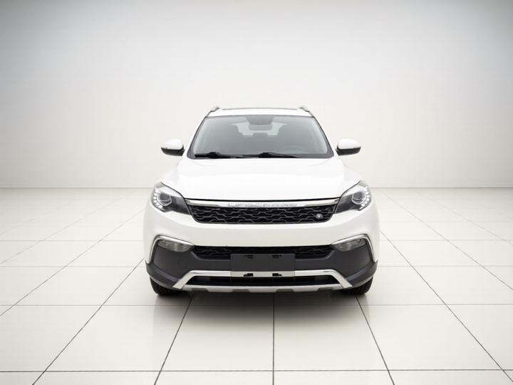 Liebao CS10 2016 2.0T AT Luxury photo 2