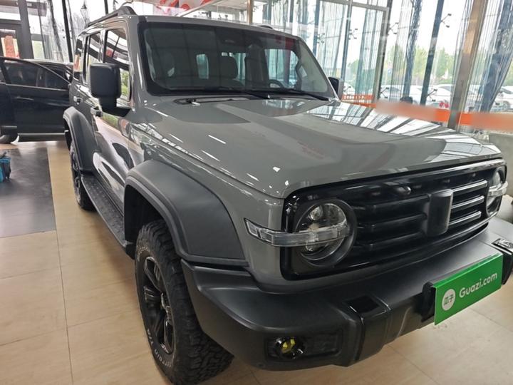 300 2021 Off-road 2.0T photo 3